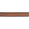 Lucky Brand Women’s Studded Leather Belt | Stylish | Classic | Modern | Jeans | Pants | Skirt | Dress(Domed Studded – Tan)
