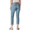 Lucky Brand Womens Mid Rise Sienna Boyfriend Jean(Azure Bay)