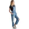 Lucky Brand womens Denim Boyfriend Overall(Mercury Dest)