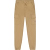 Kelp
