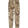 Kelp Forest Camo